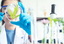 Canadian Scientist Wants To Research Cannabis As Treatment For COVID-19