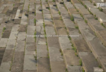 Volcom’s “Born to Blew” Video